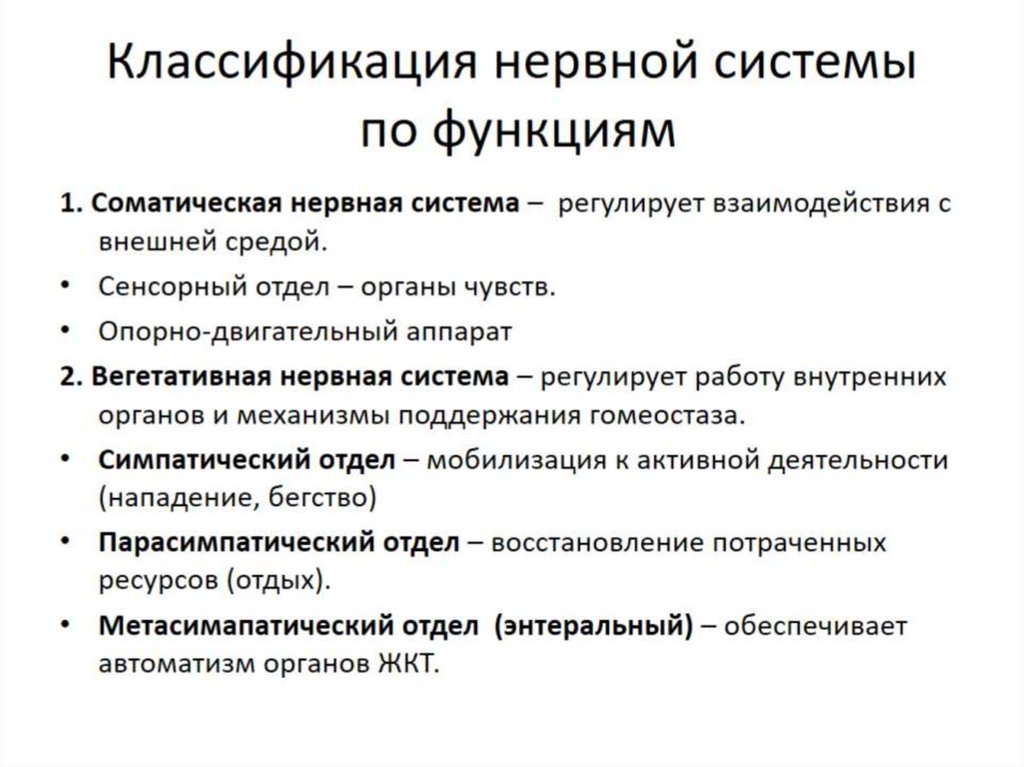 Возбуждение периферической нервной системы