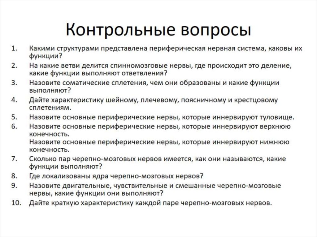 Строение и функции периферической нервной системы