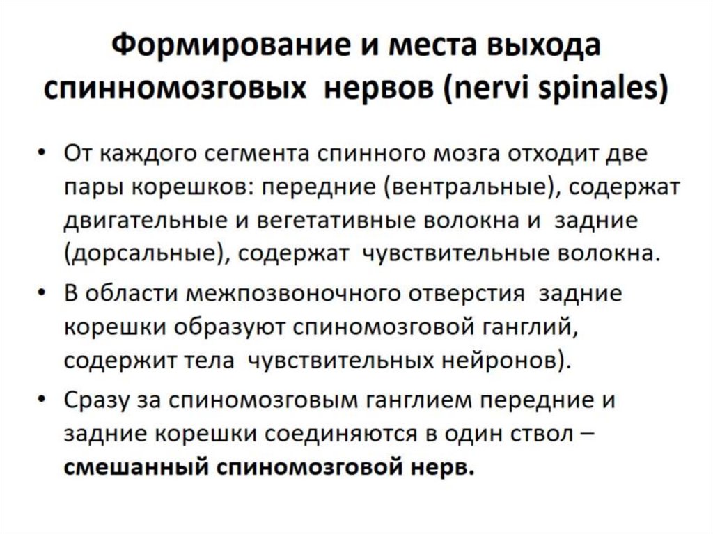 Опухоли периферической нервной системы