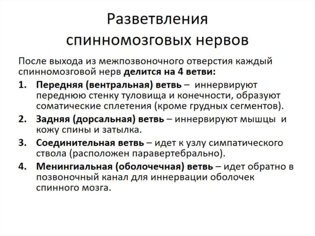Возбуждение периферической нервной системы