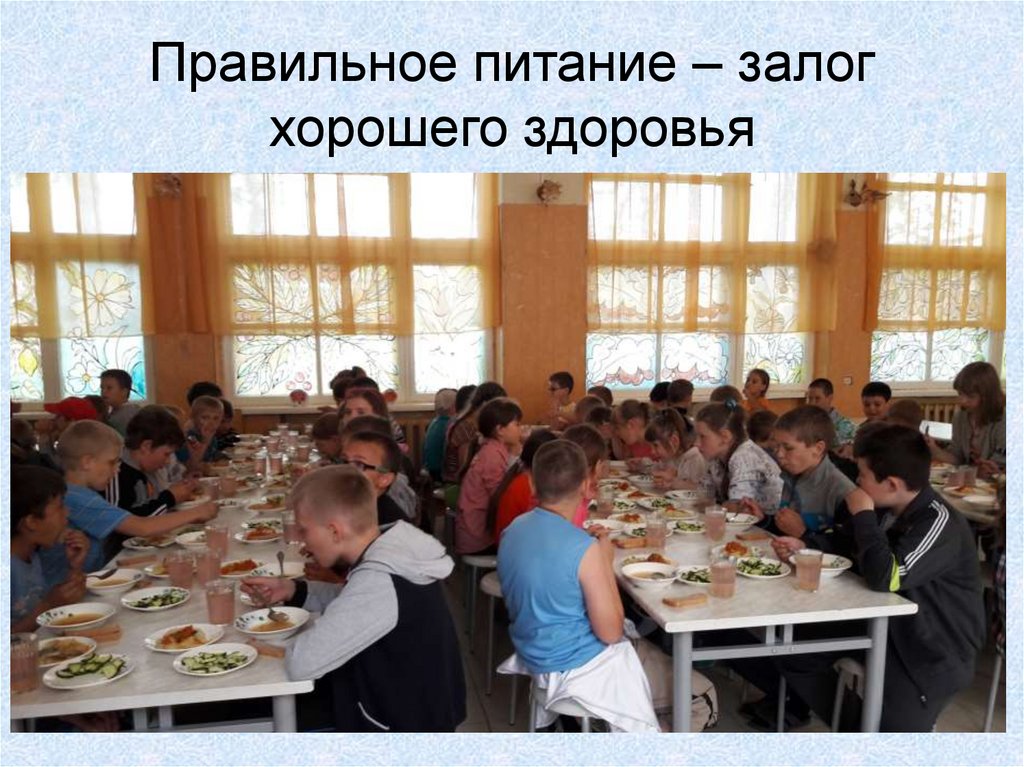 Правильное питание – залог хорошего здоровья