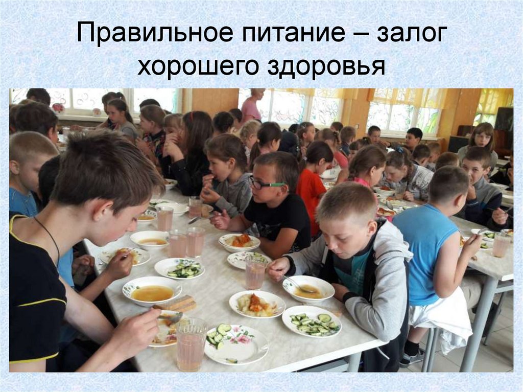 Правильное питание – залог хорошего здоровья