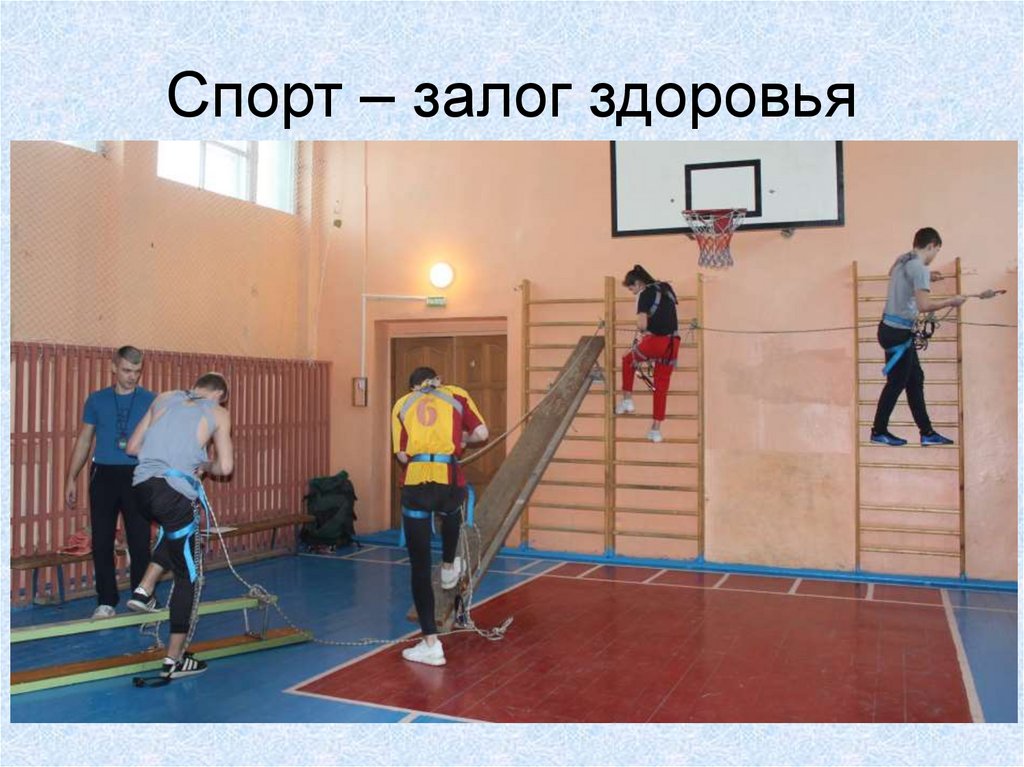 Спорт – залог здоровья