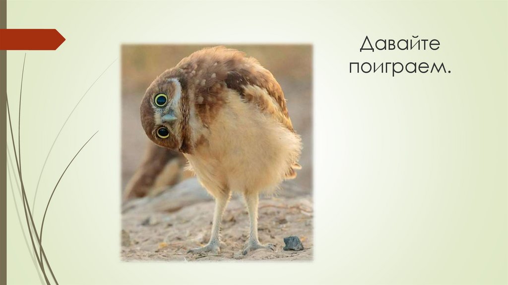 Давайте поиграем.