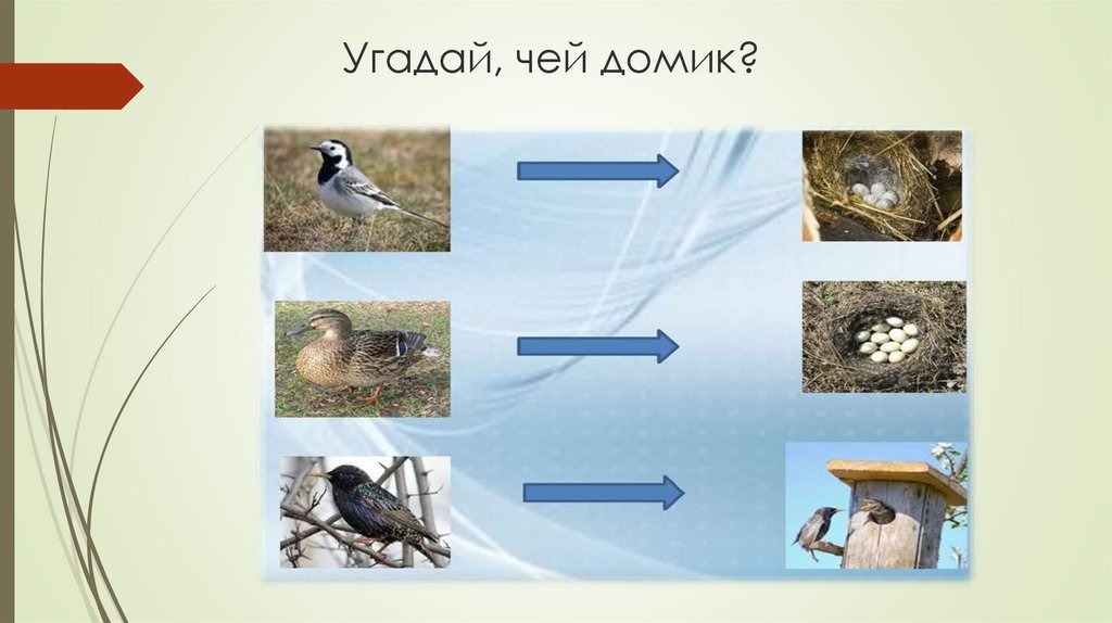 Угадай, чей домик?