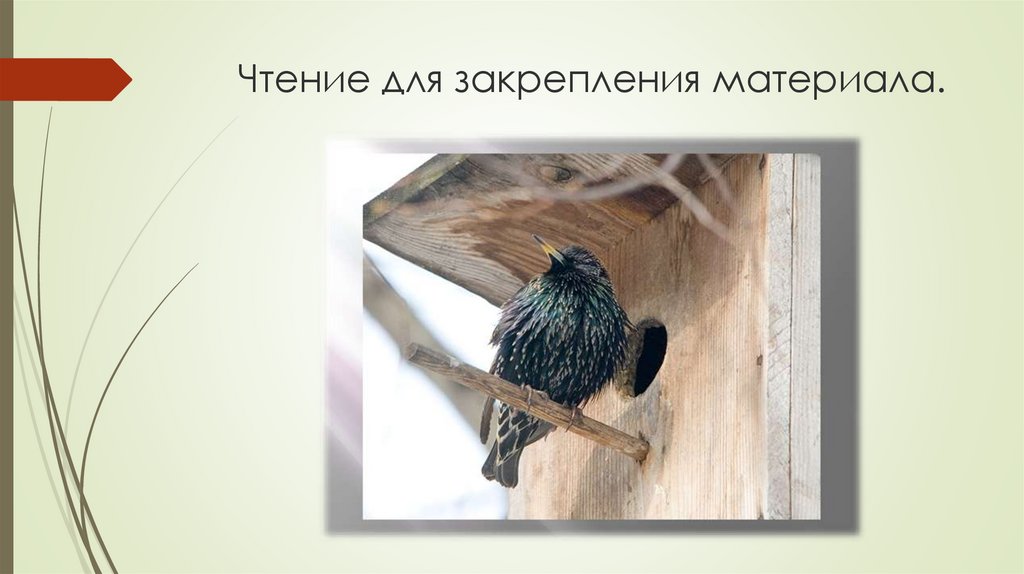 Чтение для закрепления материала.