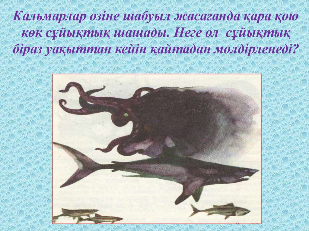 Кальмарлар өзіне шабуыл жасағанда қара қою көк сұйықтық шашады. Неге ол сұйықтық біраз уақыттан кейін қайтадан мөлдірленеді?