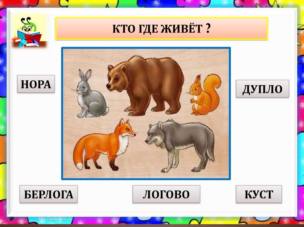 Где живет 1. Кто где обитает. Нора Берлога Логово дупло куст. Берлога дупло Логово. Кто где живет презентация.