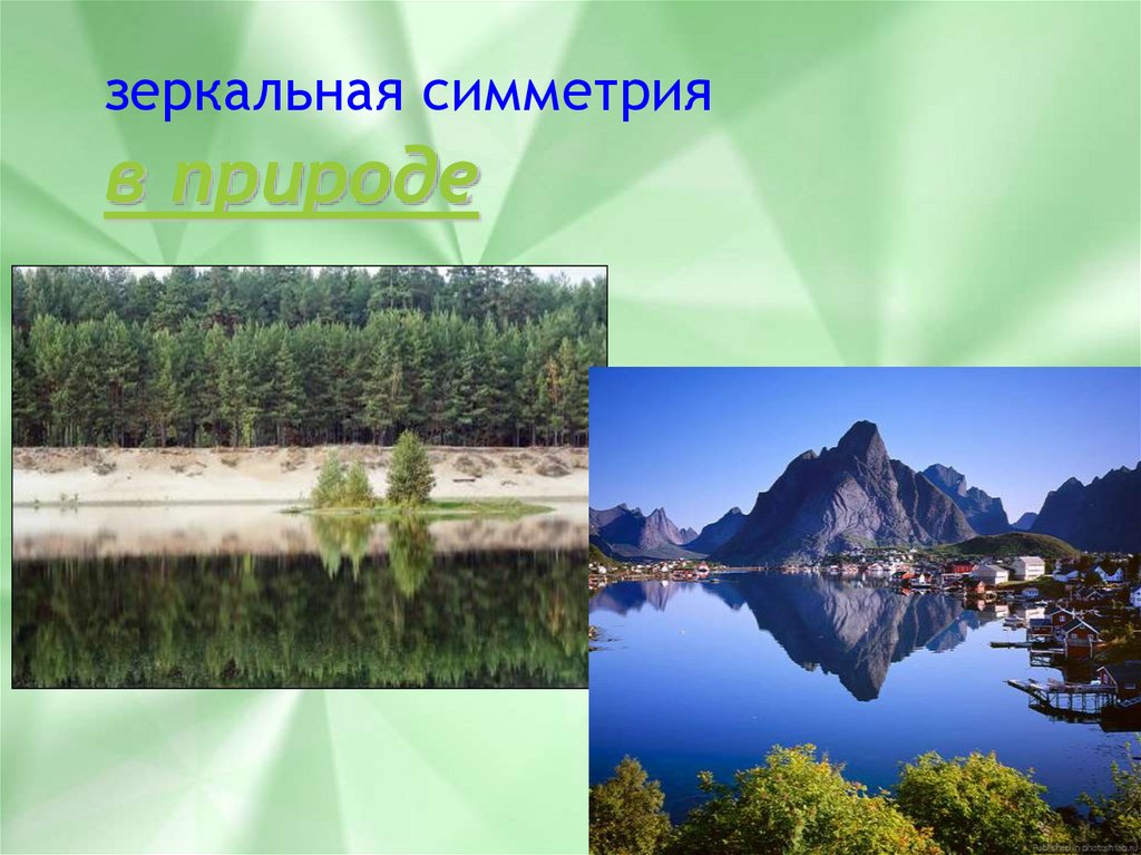 Зеркальная симметрия. Симметрия в природе. Зеркальная симметрия вокруг нас. Зеркальная симметрия картинки.