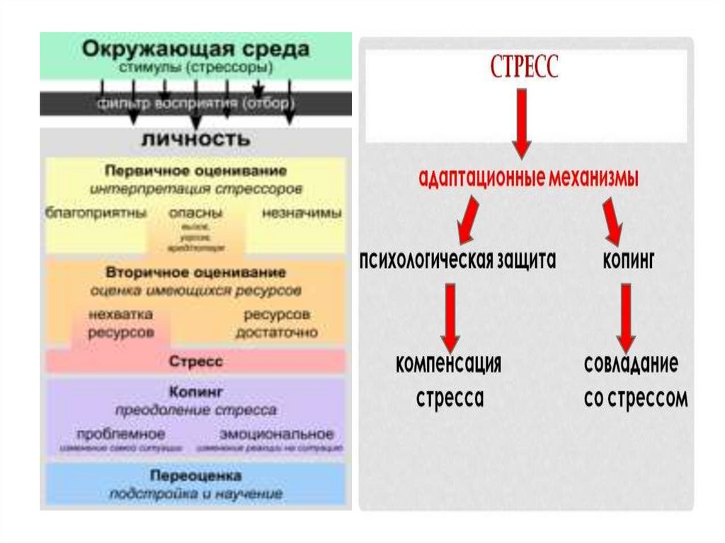 Профилактика стресса презентация. Профилактика стресса.