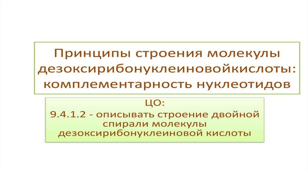 Принципы строения молекулы дезоксирибонуклеиновой кислоты комплементарность нуклеотидов презентация