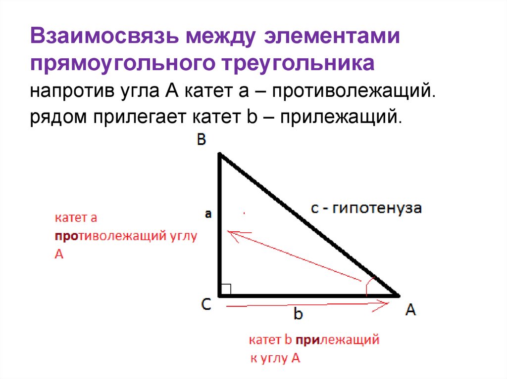 Элементами треугольника являются. Элементыплямоугольного треугольника. Прямоугольный треугольник. Элементы прямоугольного треугольника. Элементы прягоугольного треугольник.