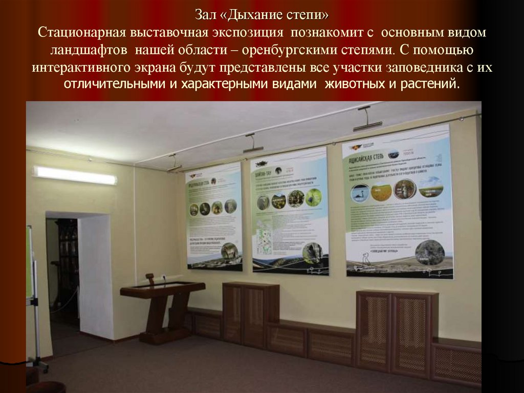 Зал «Дыхание степи» Стационарная выставочная экспозиция  познакомит с  основным видом ландшафтов  нашей области – оренбургскими