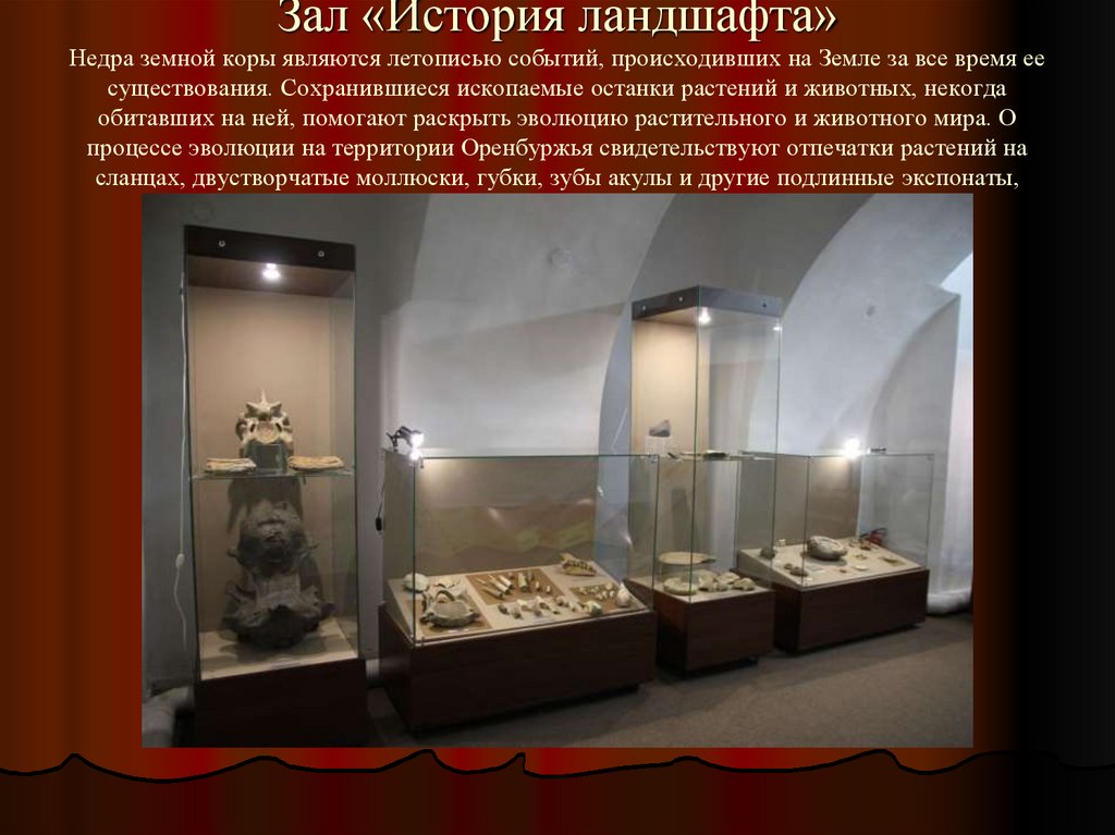 Зал «История ландшафта» Недра земной коры являются летописью событий, происходивших на Земле за все время ее существования.