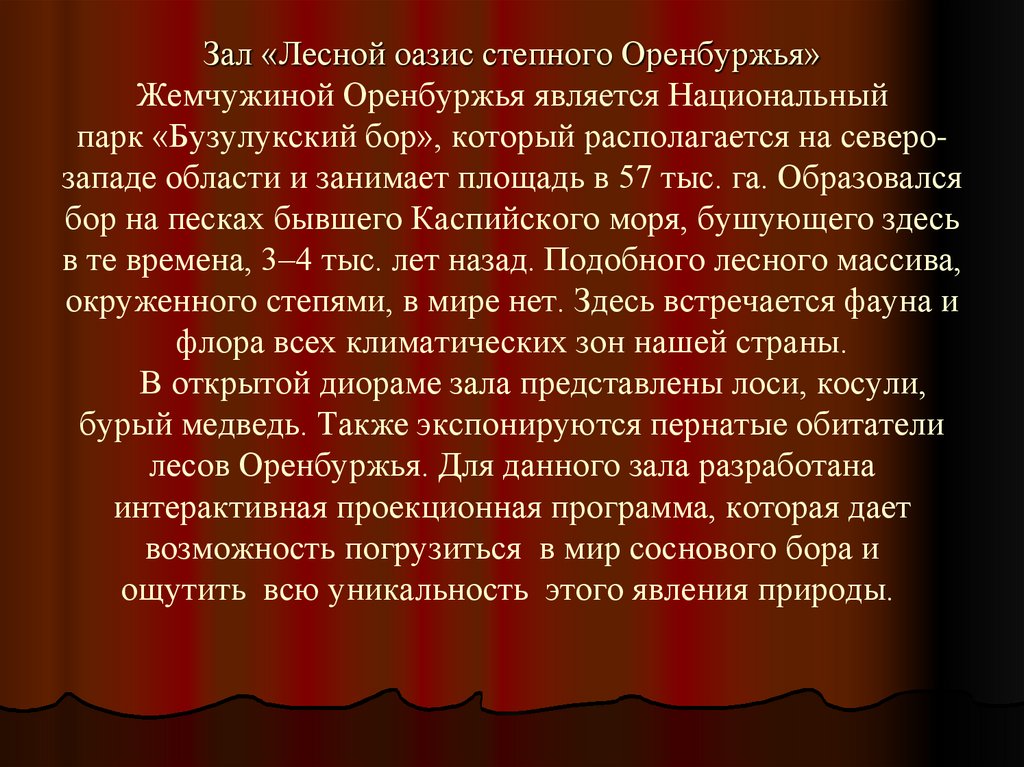 Зал «Лесной оазис степного Оренбуржья» Жемчужиной Оренбуржья является Национальный парк «Бузулукский бор», который