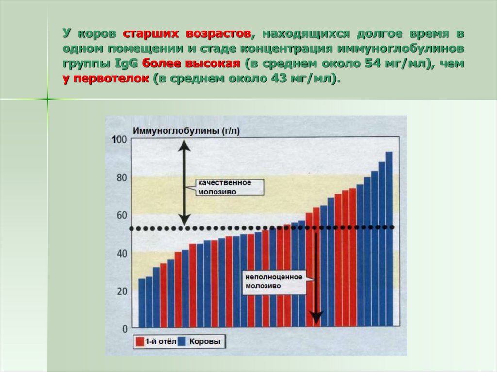 Какого возраста находятся