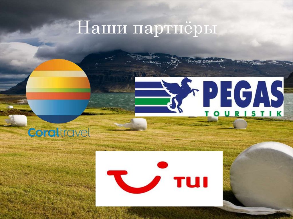 Наши партнёры