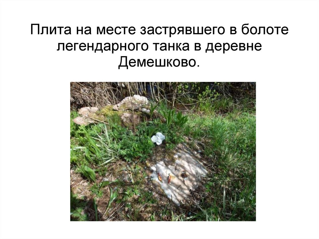 Плита на месте застрявшего в болоте легендарного танка в деревне Демешково.