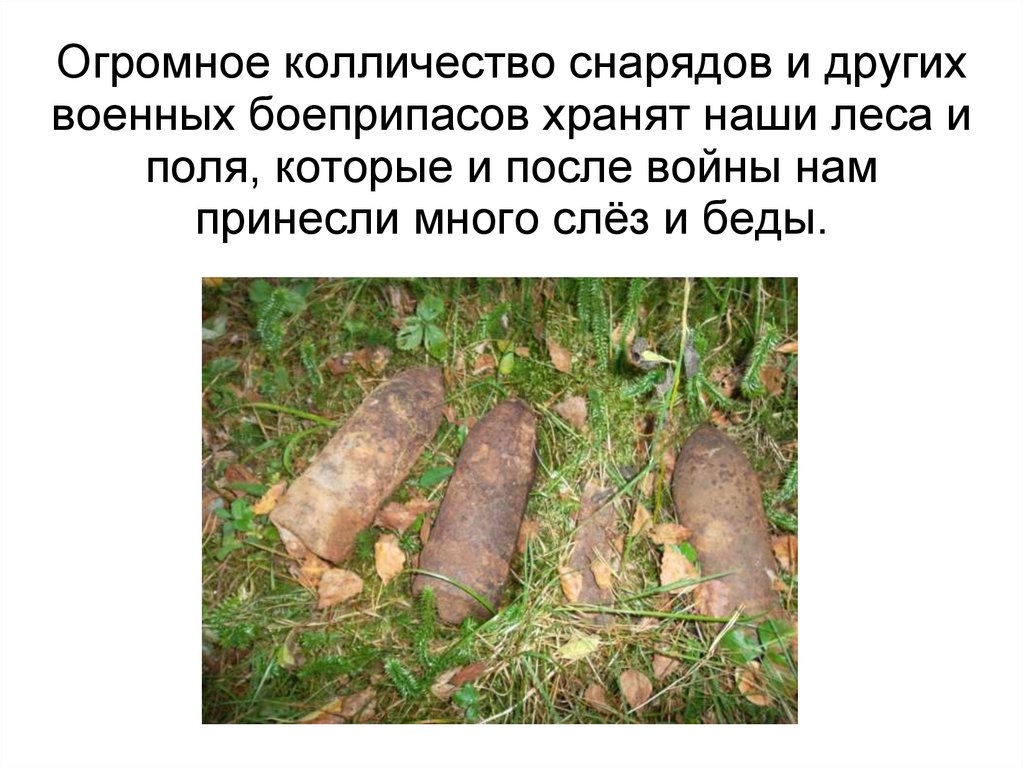 Огромное колличество снарядов и других военных боеприпасов хранят наши леса и поля, которые и после войны нам принесли много