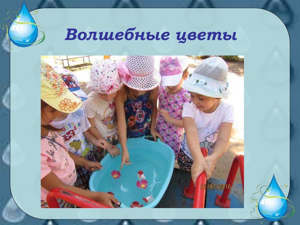 Волшебные цветы