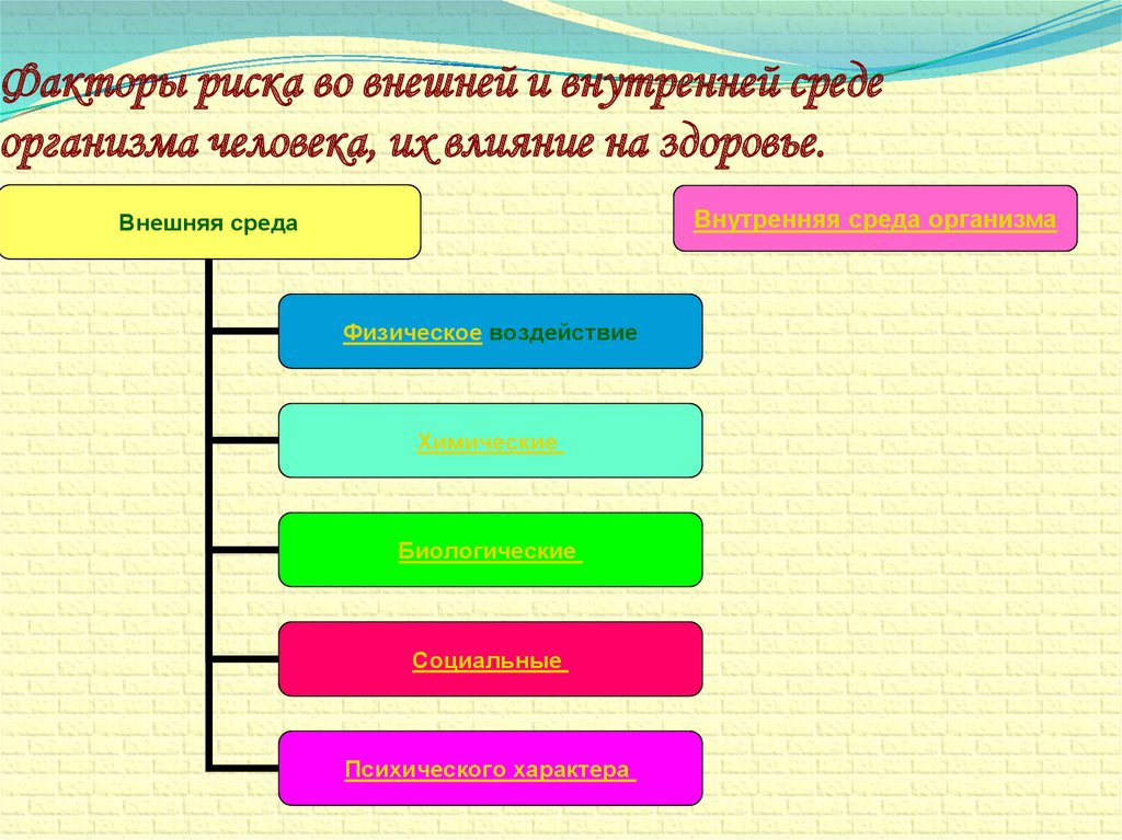 Факторы внутренних вод. Факторы риска внешней и внутренней среды. Фактора риска во внешней среду организма человека и его здоровье.
