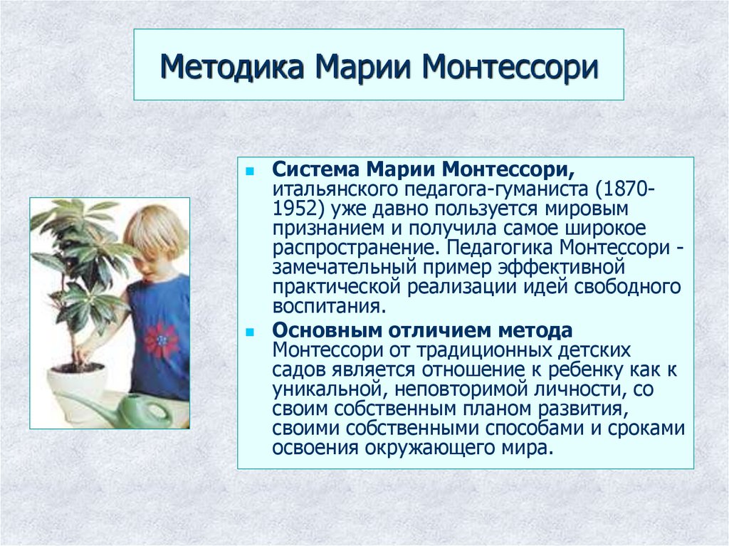 Система монтессори презентация