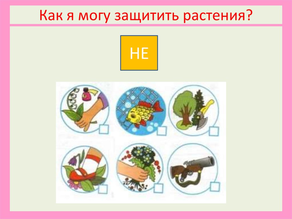 Как я могу защитить растения?