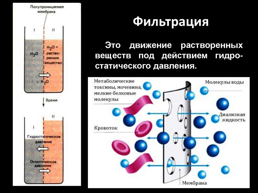 Виды мембран