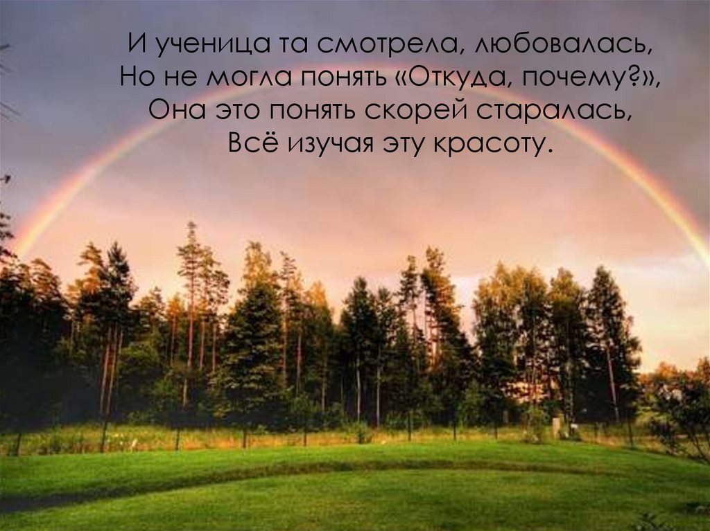 Красиво правда. Парабола в природе. Парабола в жизни. Парабола в реальной жизни. Парабола в окружающем мире.