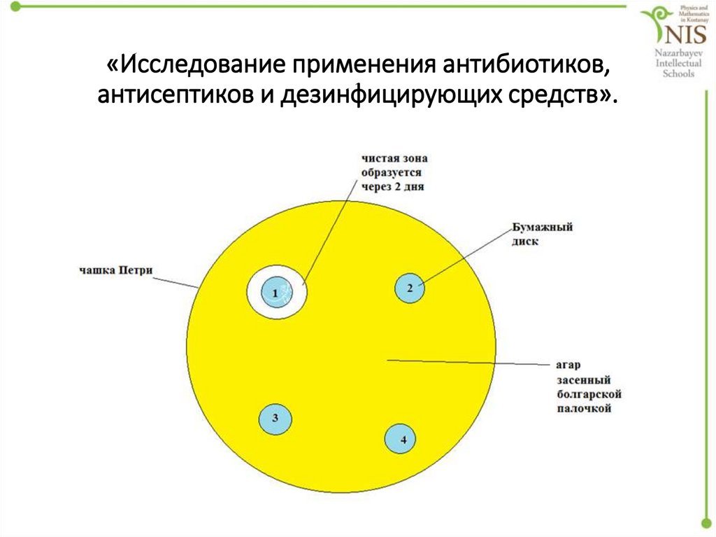 Антибиотики и антисептики отличия. От антисептиков антибиотики отличаются действия. От антисептиков антибиотики отличаются действия. Антисептический препарата бактериостатического действия. Антисептики и дезинфектанты отличия.