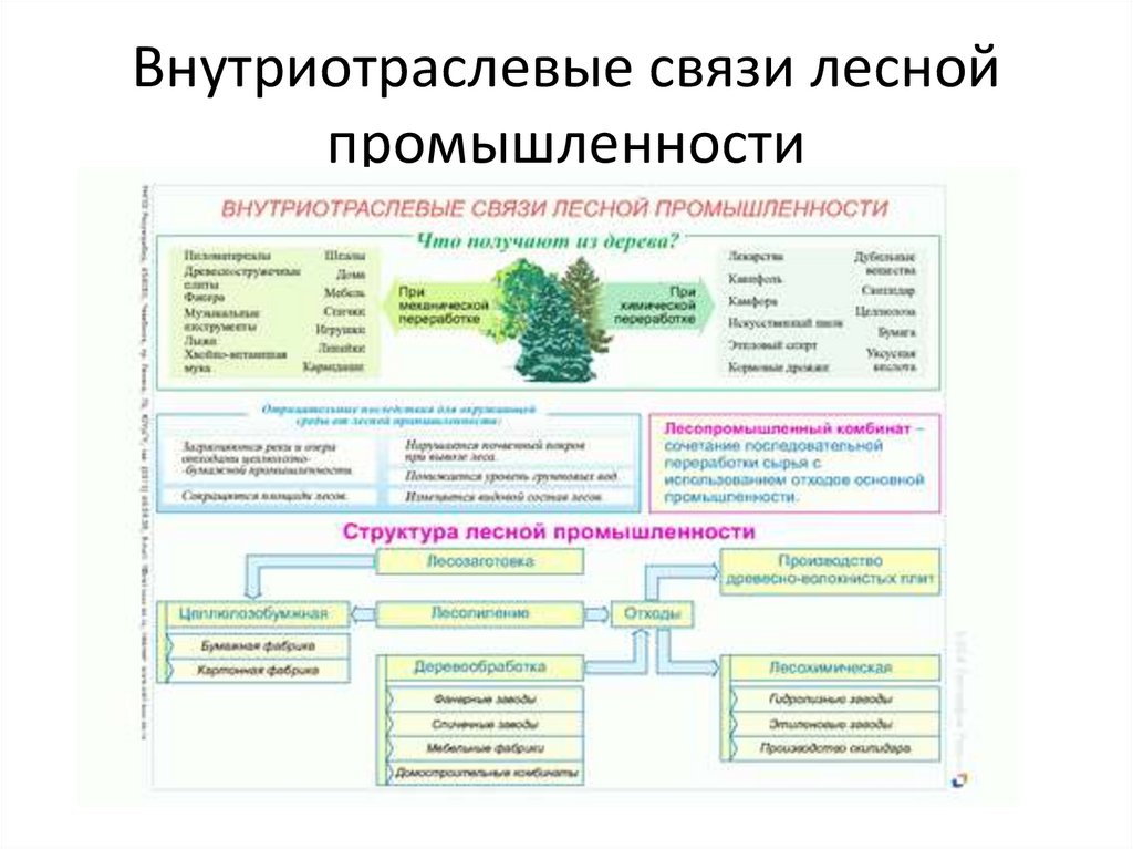 Схема лесной отрасли