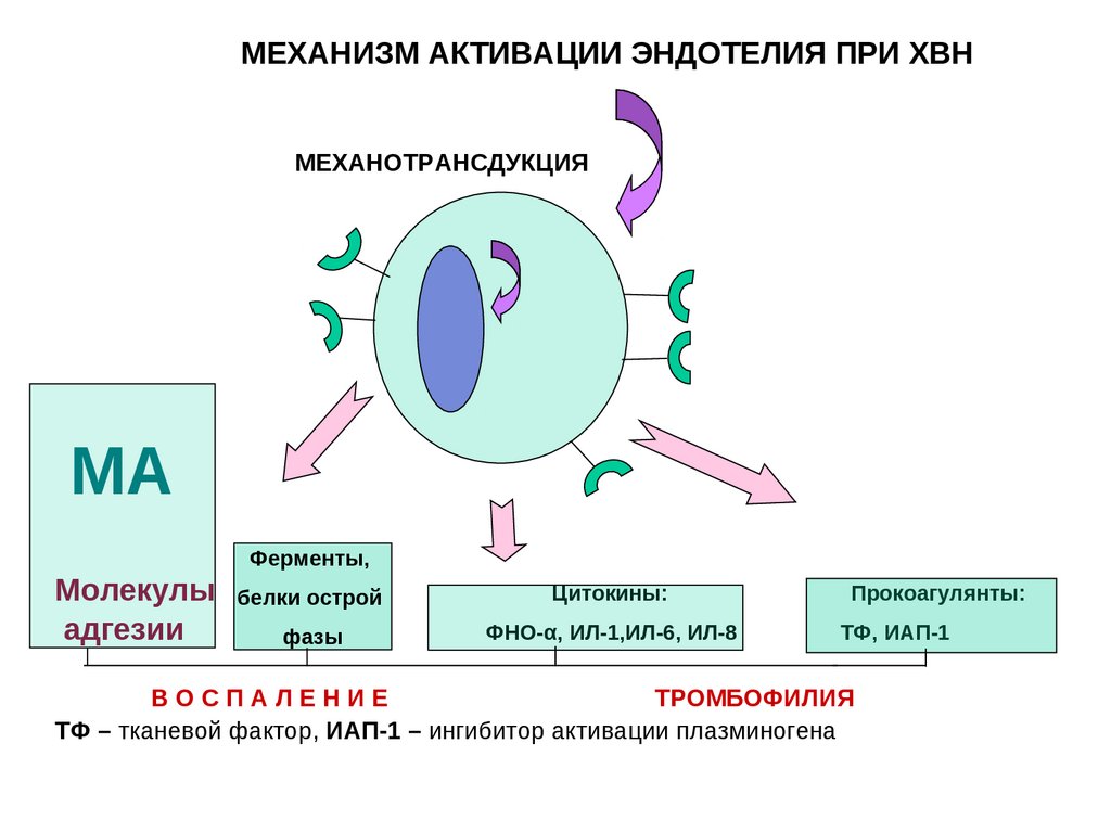 Активируйте механизм