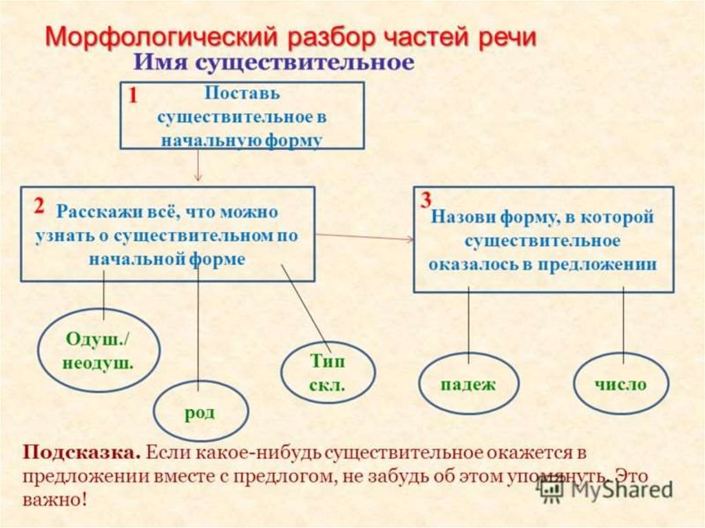 Схема разбора существительного