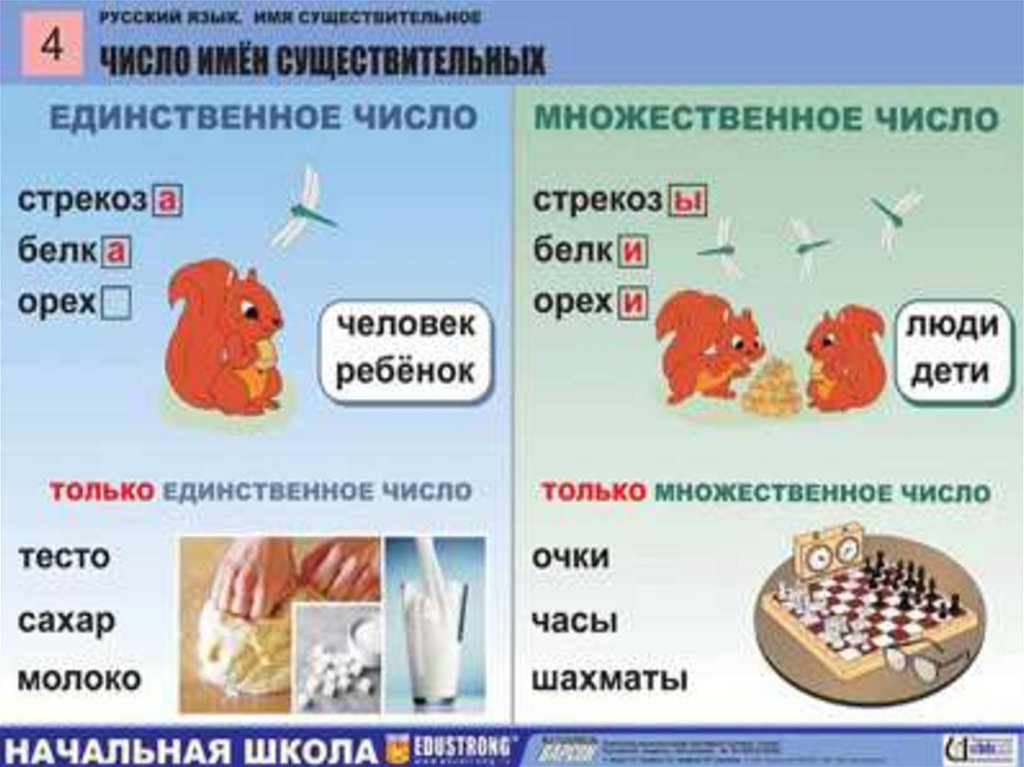 План конспект урока множественное число имен существительных 5 класс