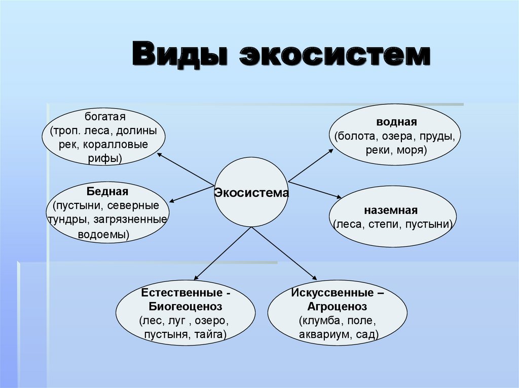 Экосистема презентация 11 класс