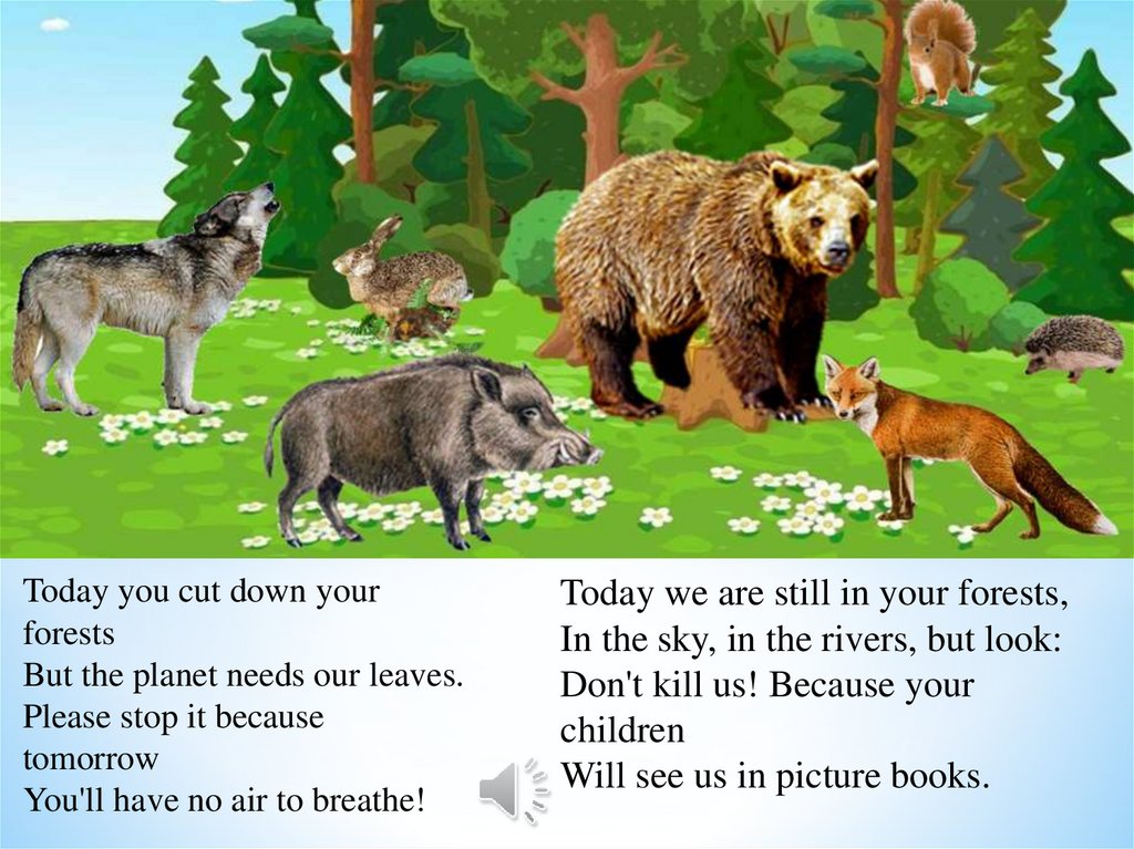Лесные звери старшая группа. Звери леса. Животные нашего леса для детского сада. Животные Лема для детей. Лес с дикими животными.