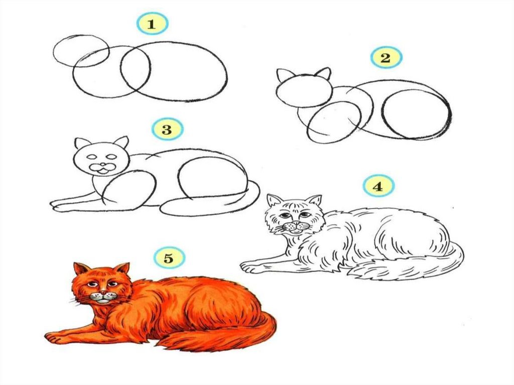 Рисуем кошку поэтапно для детей 1 класс презентация