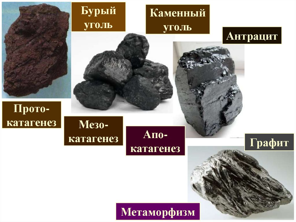 Чем отличается каменный уголь. Бурый уголь (лигниты), каменный уголь, антрацит, графит.. Уголь бурый каменный антрацит. Бурый уголь лигнит. Антрацит уголь цвет.