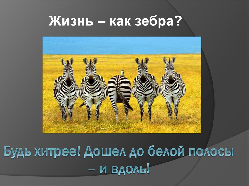 Будь хитрее! Дошел до белой полосы – и вдоль!