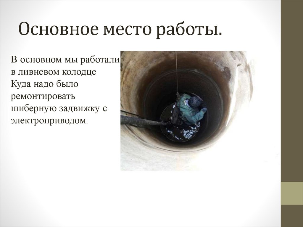 Основное место работы.