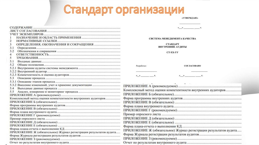 Стандарт организации