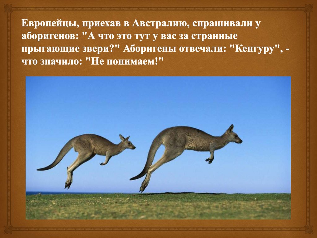 Европейцы, приехав в Австралию, спрашивали у аборигенов: "А что это тут у вас за странные прыгающие звери?" Аборигены отвечали: