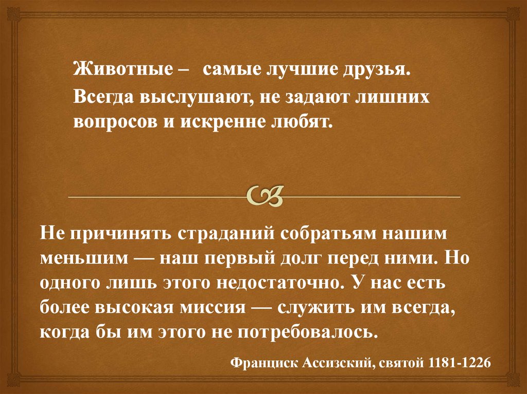 Животные – самые лучшие друзья. Всегда выслушают, не задают лишних вопросов и искренне любят.