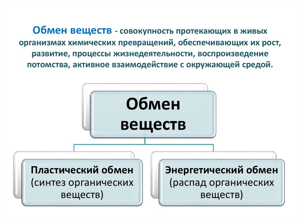 Обмен веществ метаболизм это совокупность