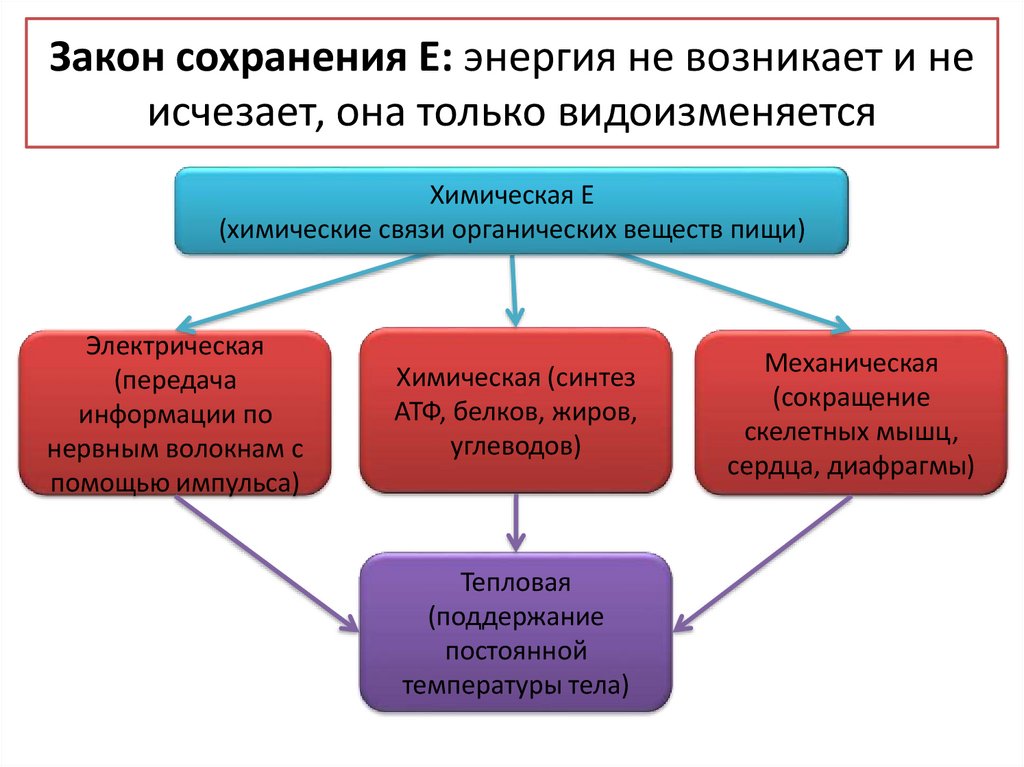 Сохранение е