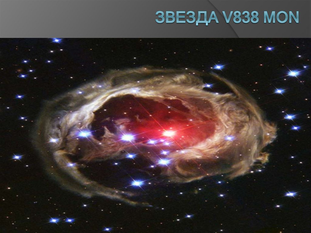 Звезда V838 Mon