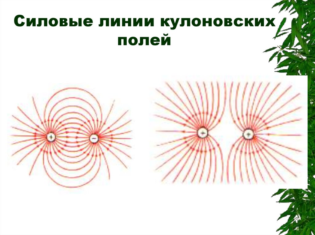 На каком рисунке правильно изображена картина линий напряженности