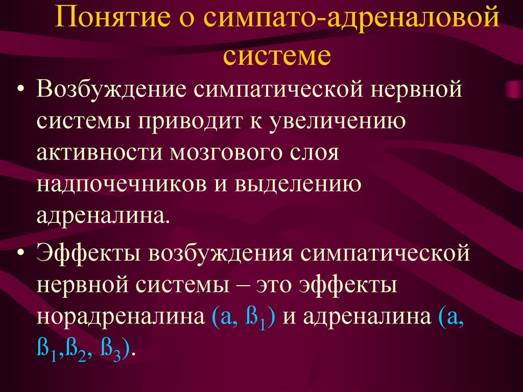 Симпато адреналовая система презентация