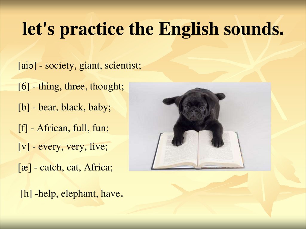 let's practice the English sounds.