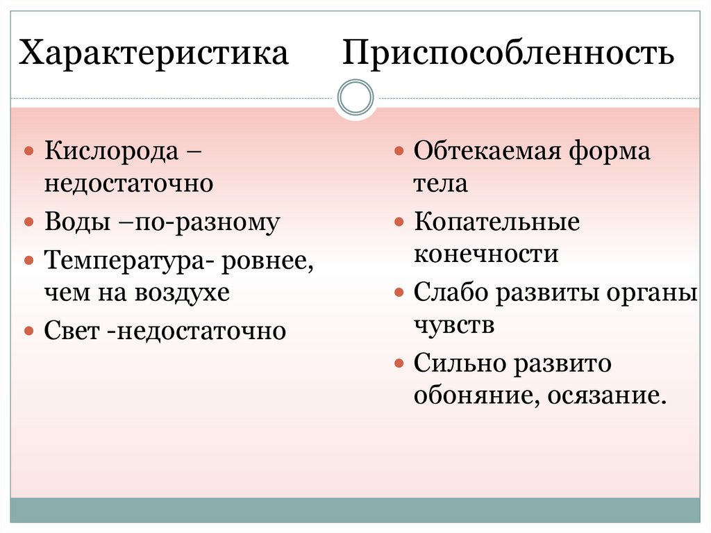 2 общая характеристика жизни